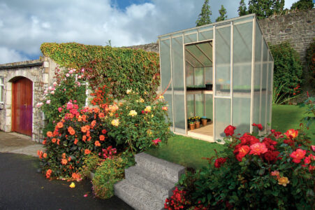 How to Build a Greenhouse Out of Wood Image